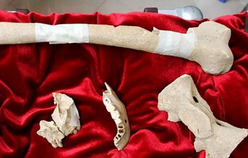 Bones-of-Caravaggio