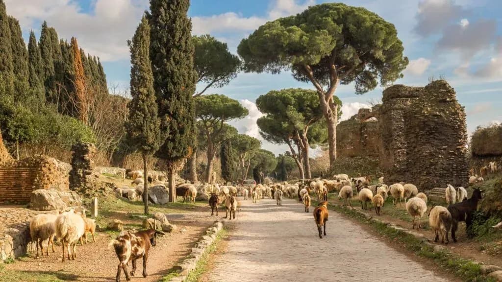 Modern-Traffic-on-the-Via-Appia-Antica-1-1024x576 (3)